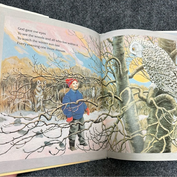 Forest of Dreams FIRST edition with DJ 1988 by Rosemary Wells and Susan Jeffers - Picture 6 of 14